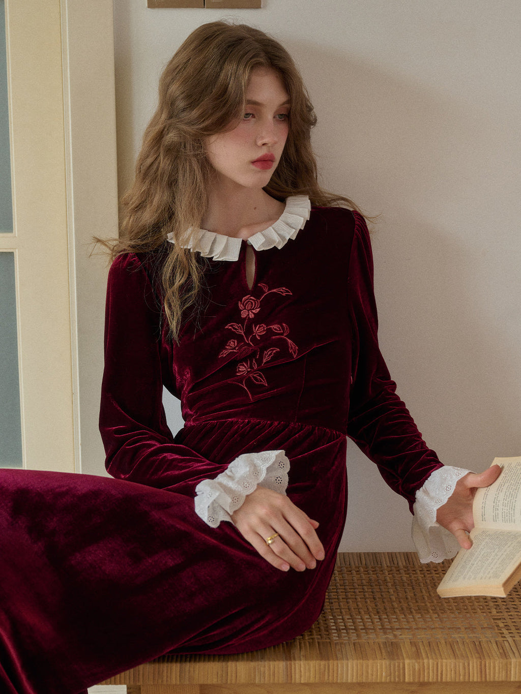 Aliana Round Neck Embroidery Velvet Dress